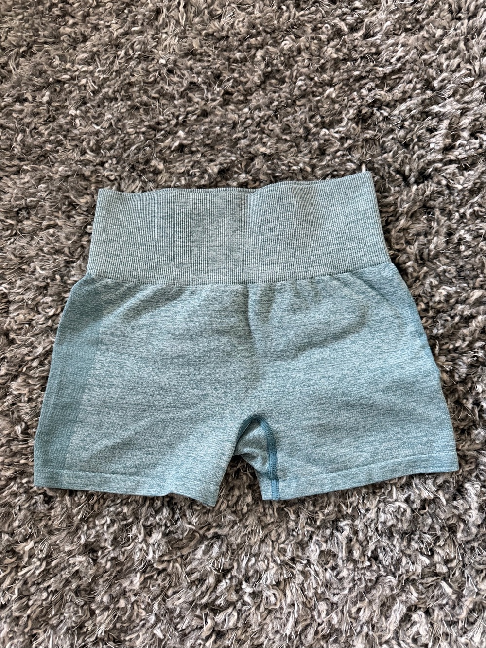 Victoria’s Secret PINK Sport Seamless High Waist Shorts Green XS